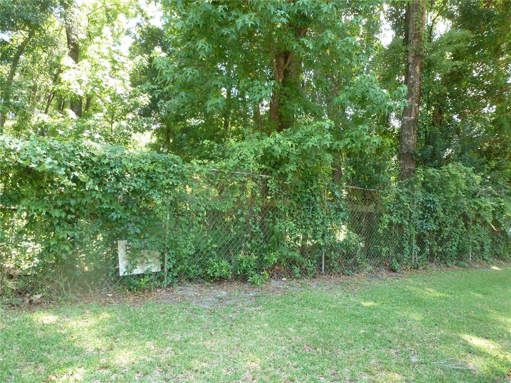 1031 Southwest 62nd Terrace Gainesville, FL 32607 - Photo 6 of 15 a view of a lush green forest