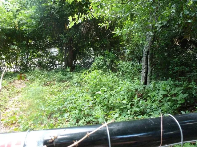 a view of outdoor space with lots of trees