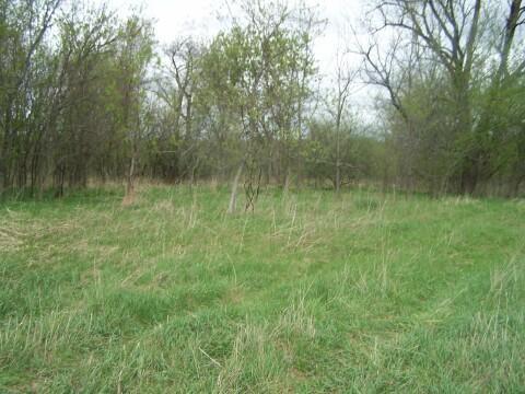 6508 Ostrum Road Belding, MI 48809 - Photo 3 of 3 Additional Photo