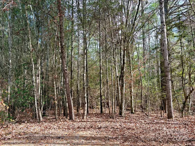 $150,000 | 99999 Heather Lane, Fairview, NC 28730