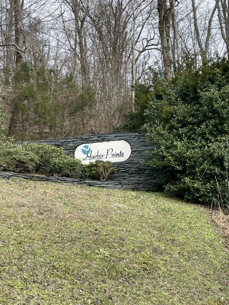 21 Harbor Point Road Silver Point, TN 38582 - Photo 2 of 7 a view of a backyard with plants and large tree