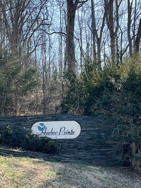 21 Harbor Point Road Silver Point, TN 38582 - Photo 3 of 7 a view of swimming pool