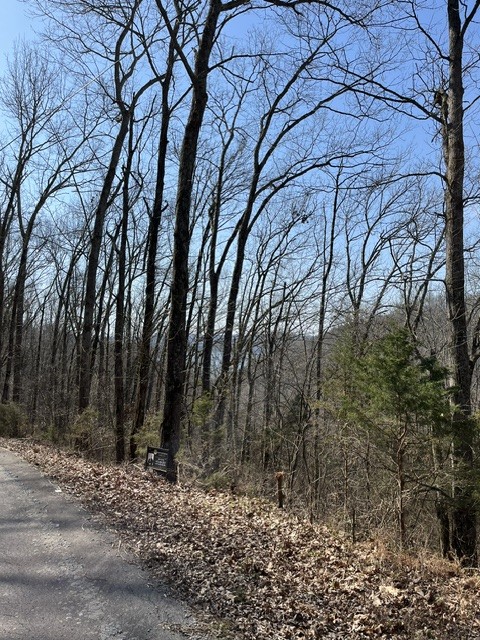 21 Harbor Point Road Silver Point, TN 38582 - Photo 4 of 7 a backyard of a house with lots of green space