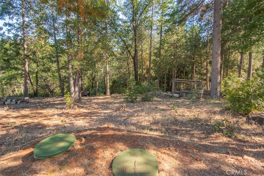 10647 Forbestown Road Forbestown, CA 95941 - Photo 57 of 74