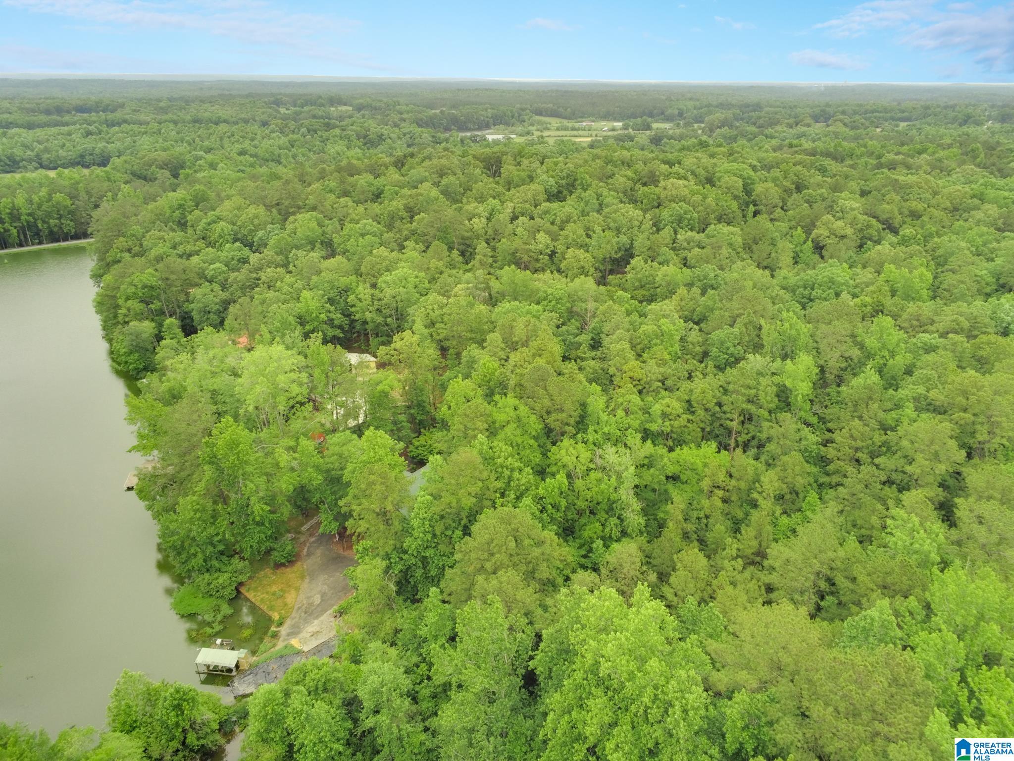 0 County Road 727, Unit 13 Montevallo, AL 35115 - Photo 3 of 15