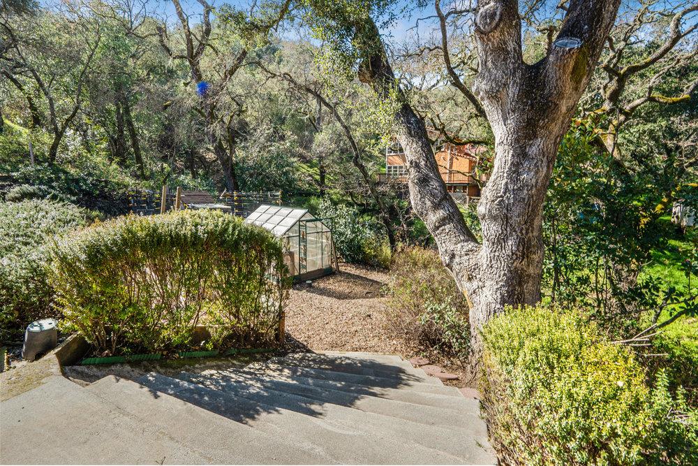 9160 Paseo Tranquillo Gilroy, CA 95020 - Photo 8 of 44 a view of a garden with pathway