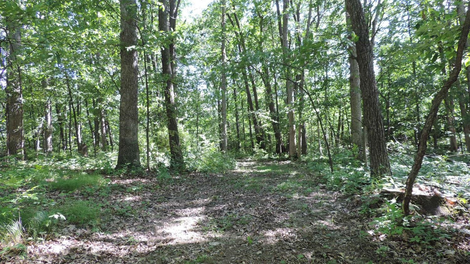 18650 Wingate Road Manchester, MI 48158 - Photo 4 of 10 Photo 4