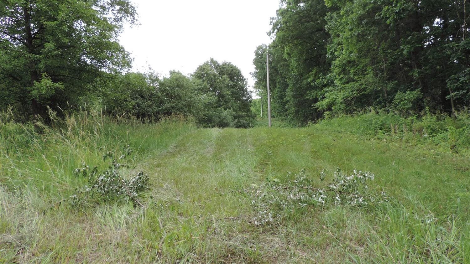 18650 Wingate Road Manchester, MI 48158 - Photo 10 of 10 Photo 10