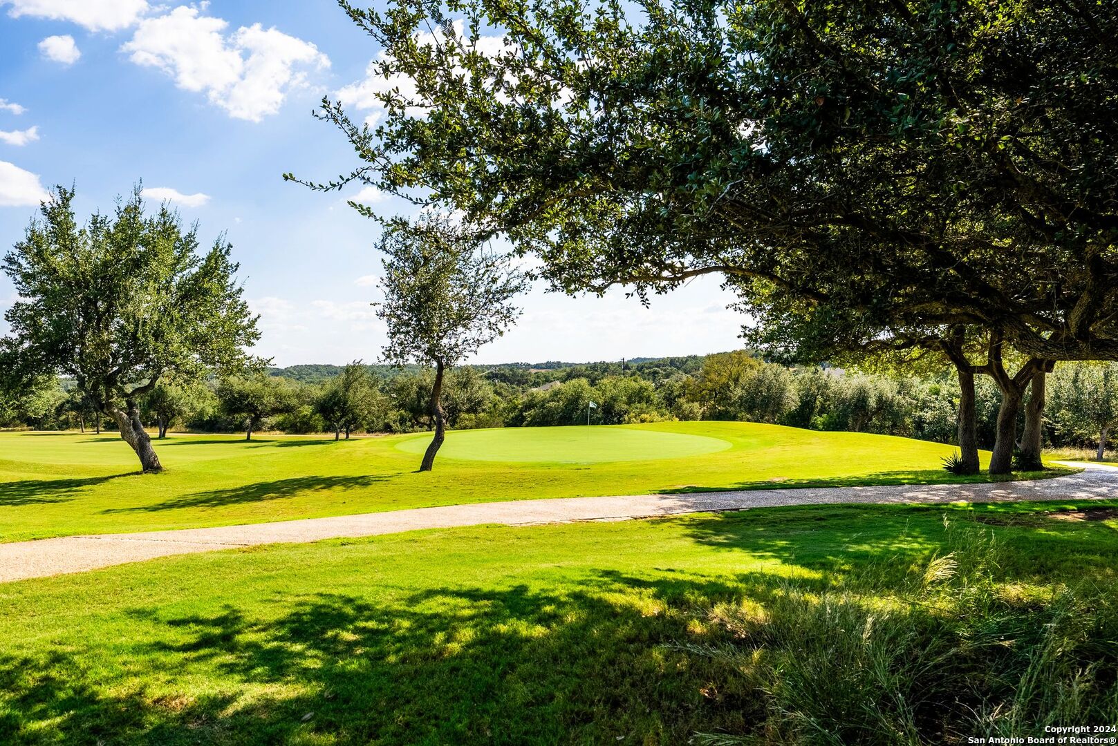 307 Lewis Todd Blanco, TX 78606 - Photo 27 of 38