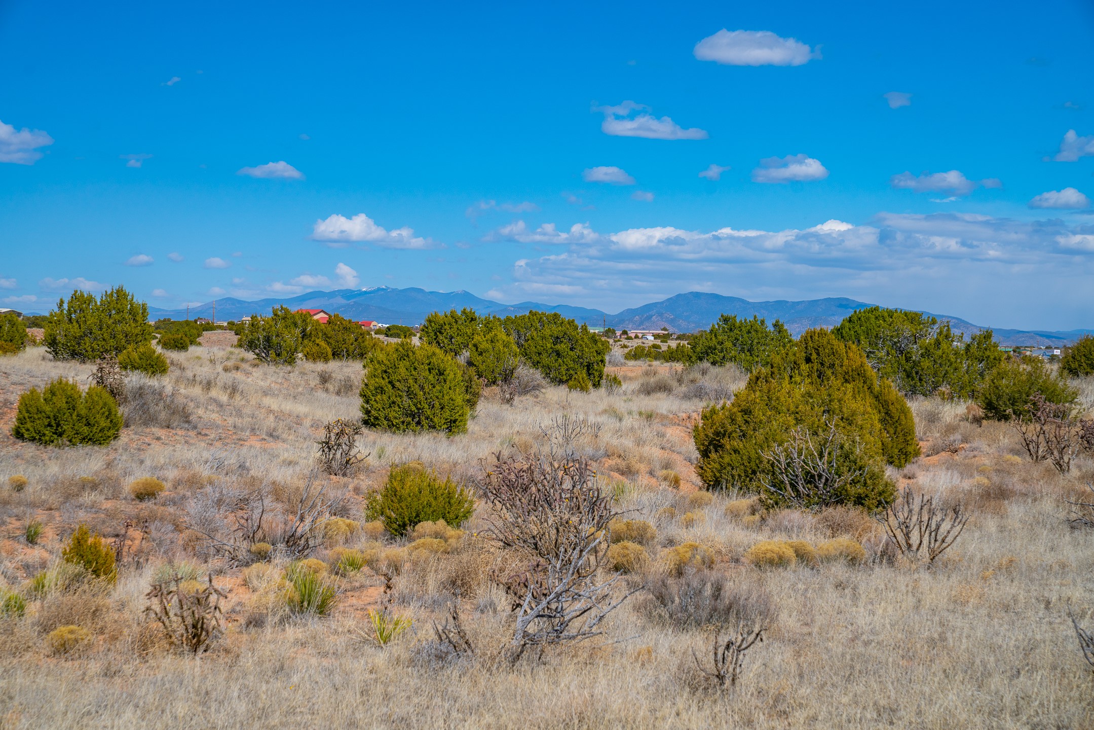 0 Crazy Rabbit Drive Santa Fe, NM 87508 - Photo 2 of 25