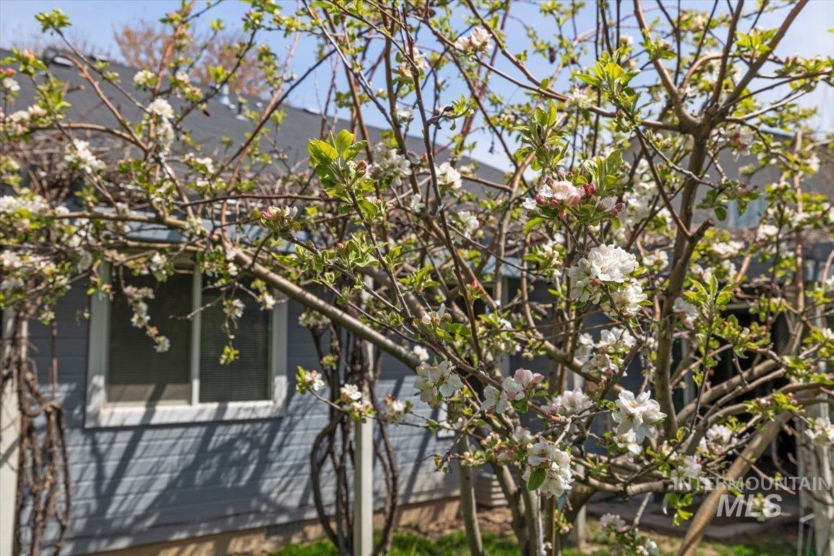 5002 Northrup Way Caldwell, ID 83607 - Photo 31 of 38 View of side of home