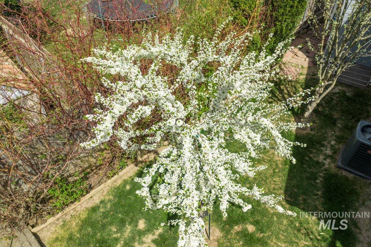 5002 Northrup Way Caldwell, ID 83607 - Photo 33 of 38 Drone / aerial view