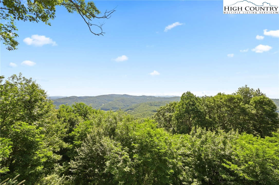 657 Golden Ridge Road Blowing Rock, NC 28605 - Photo 33 of 48 Gallery Image 33