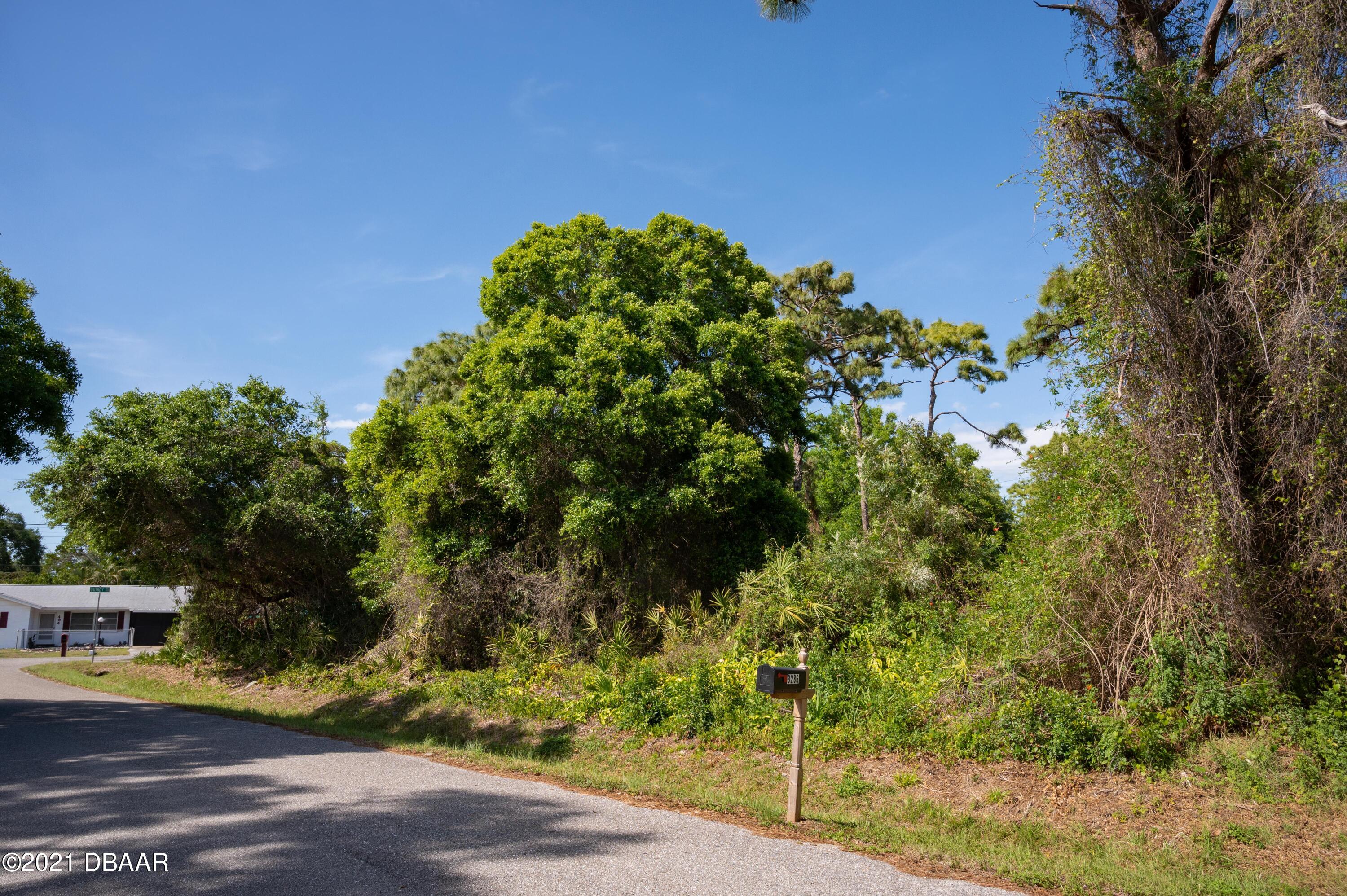 Papaya Road-28