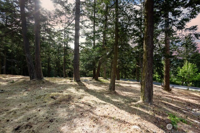 24 Mossyrock Road Friday Harbor, WA 98250 - Photo 7 of 31
