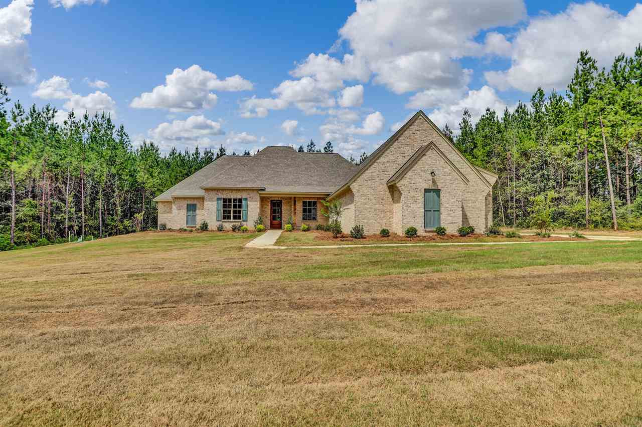 791 Clover Rdg Way Brandon, MS 39047 - Photo 2 of 32 Photo 3