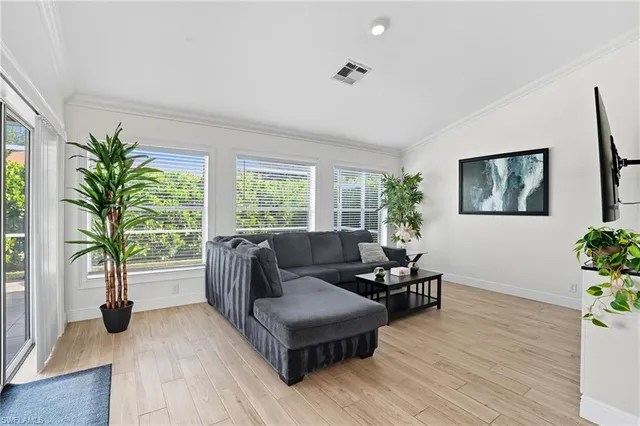 a living room with furniture and a potted plant