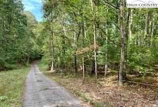 Walnut Hills Circle Crumpler, NC 28617 - Photo 2 of 4 a view of a forest with large trees