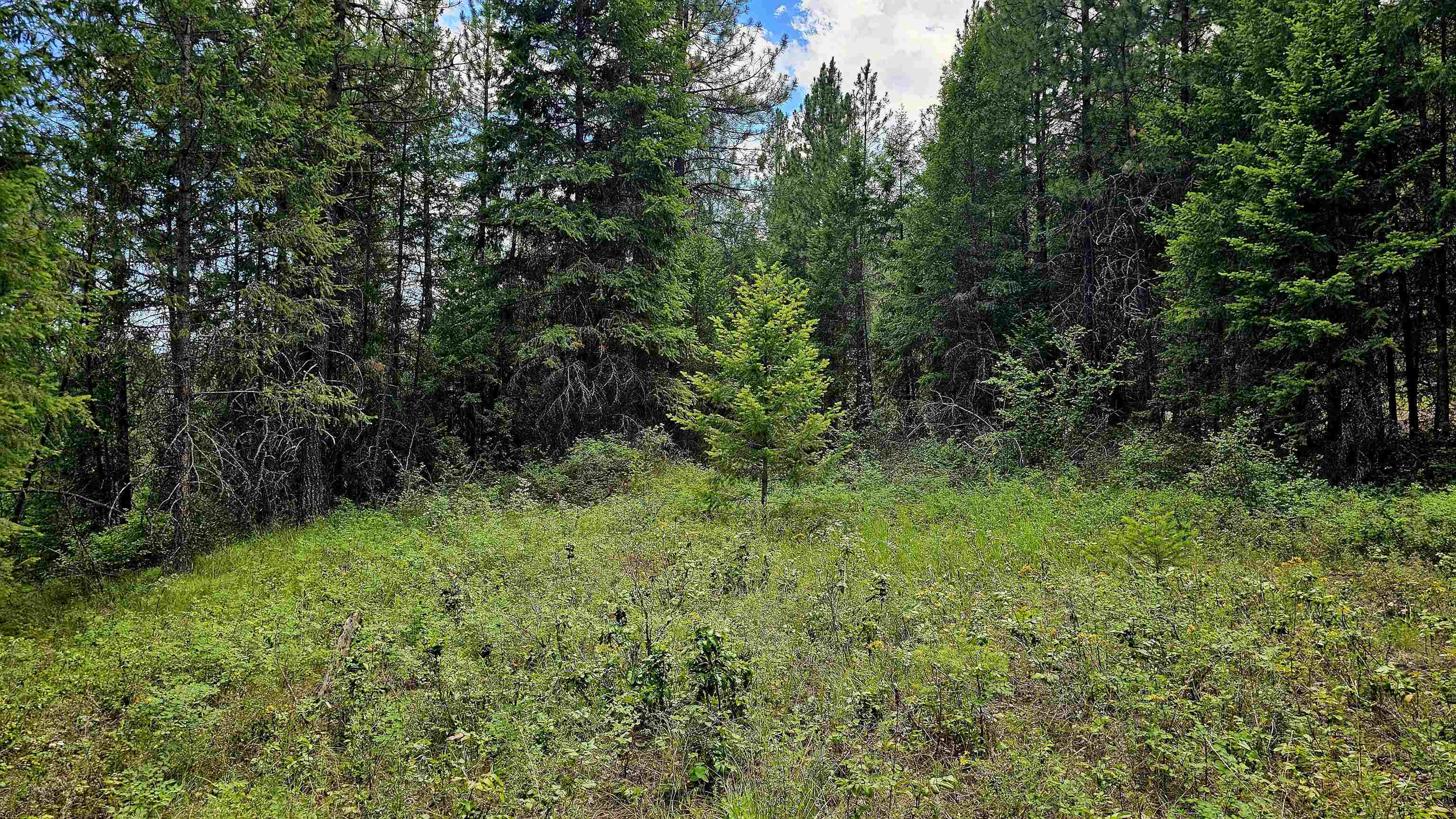 10 Humes Road Kettle Falls, WA 99141 - Photo 8 of 20