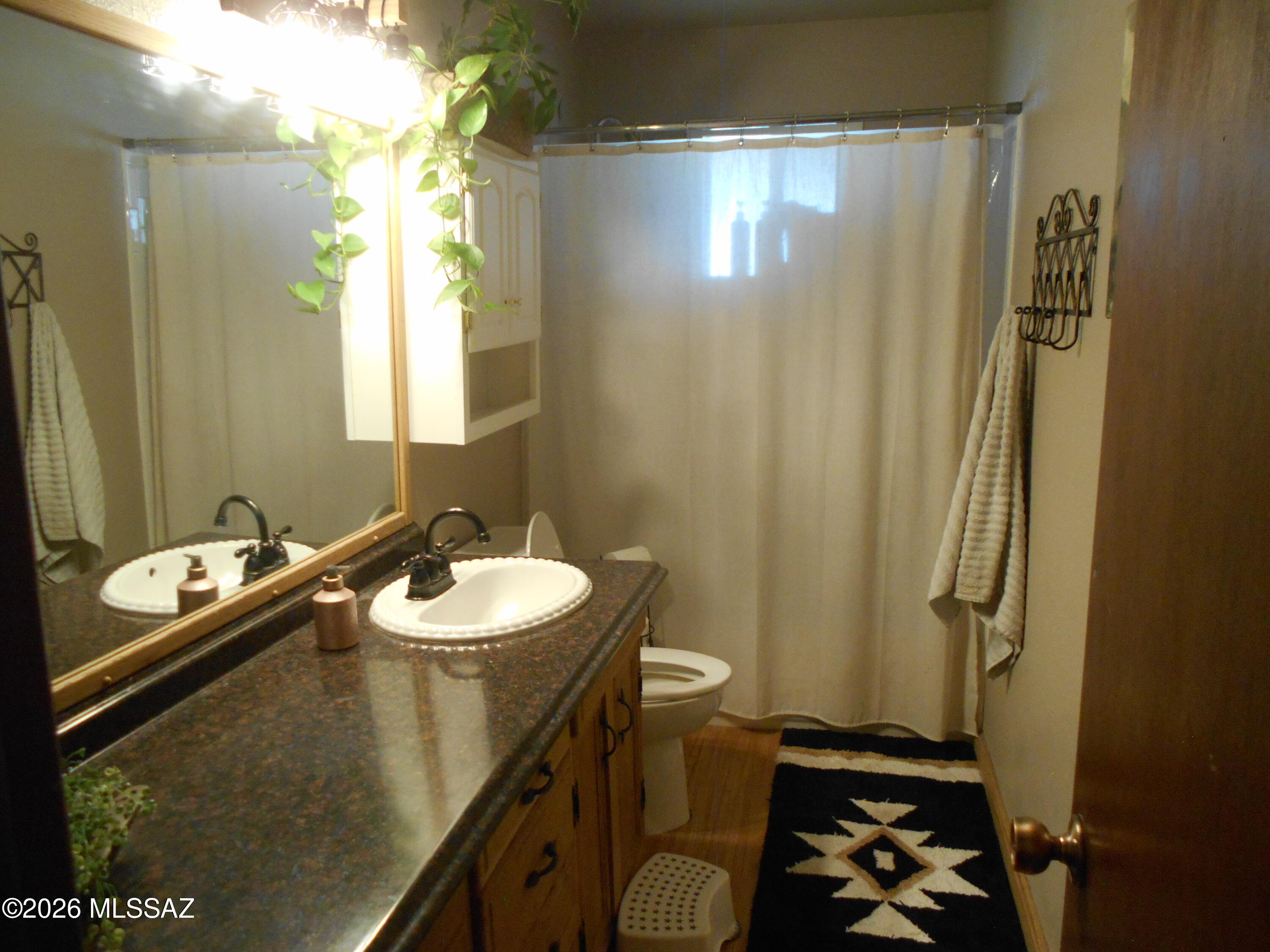 1201 East Old Stewart Road Willcox, AZ 85643 - Photo 13 of 49 a bathroom with a sink a toilet a mirror and shower curtain