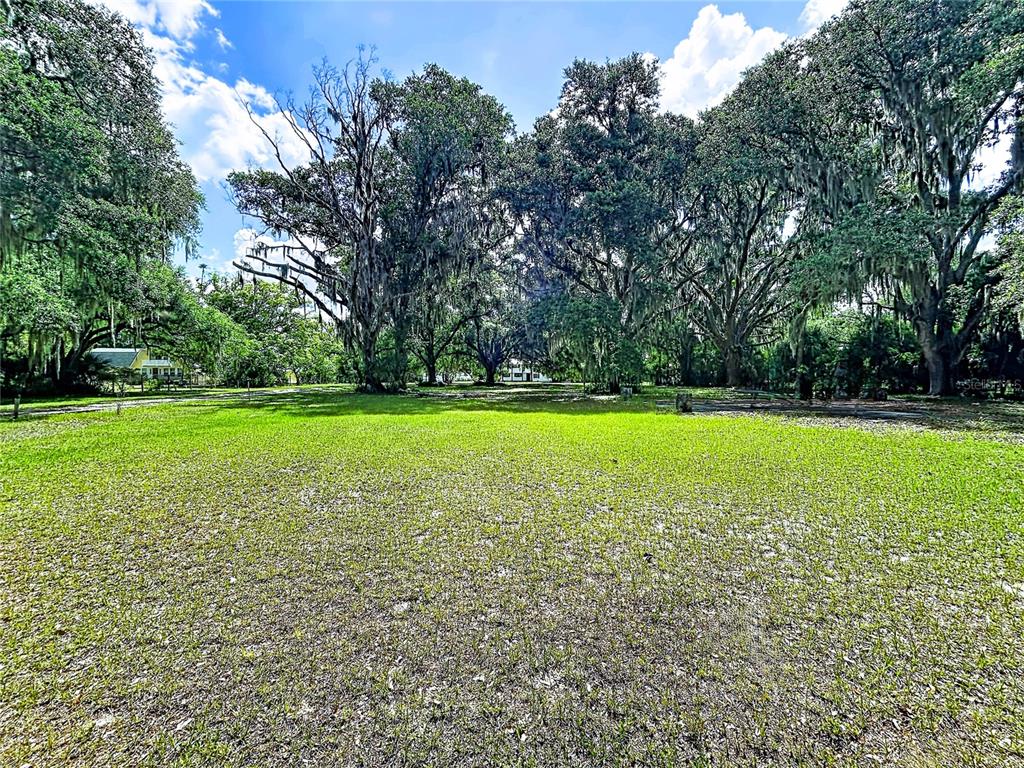 11008 Browning Road Lithia, FL 33547 - Photo 7 of 88