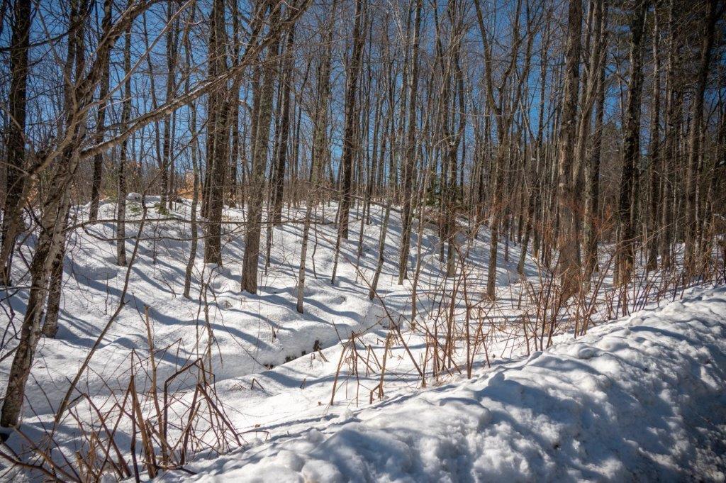 0 Heath Road, Unit LOTB Poland, ME 04274 - Photo 3 of 17 72 Heath Road-15