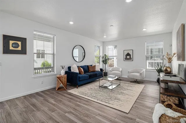 a living room with furniture rug and window
