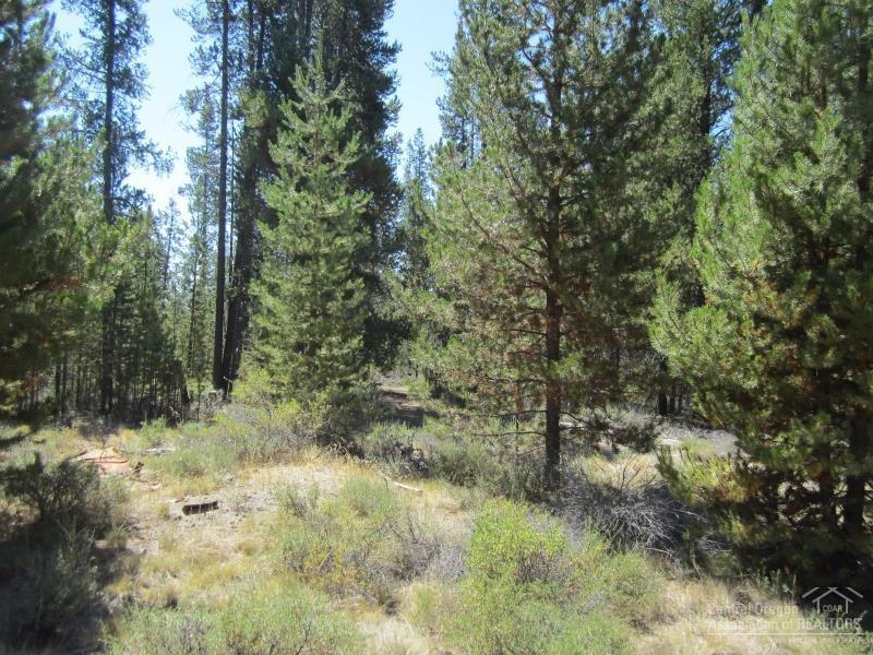 0 Aqua Road La Pine, OR 97739 - Photo 14 of 15 Additional Photo
