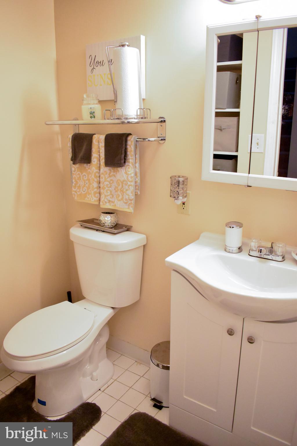 8633 Ritchboro Road District Heights, MD 20747 - Photo 23 of 29 toilet and sink in the full bath in the basement