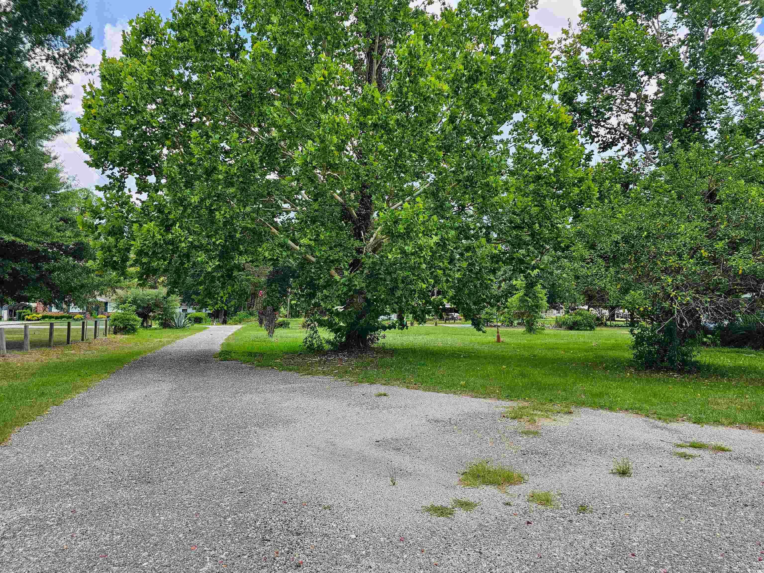 827 1/2 North Firetower Road Florence, SC 29506 - Photo 2 of 29 View of street