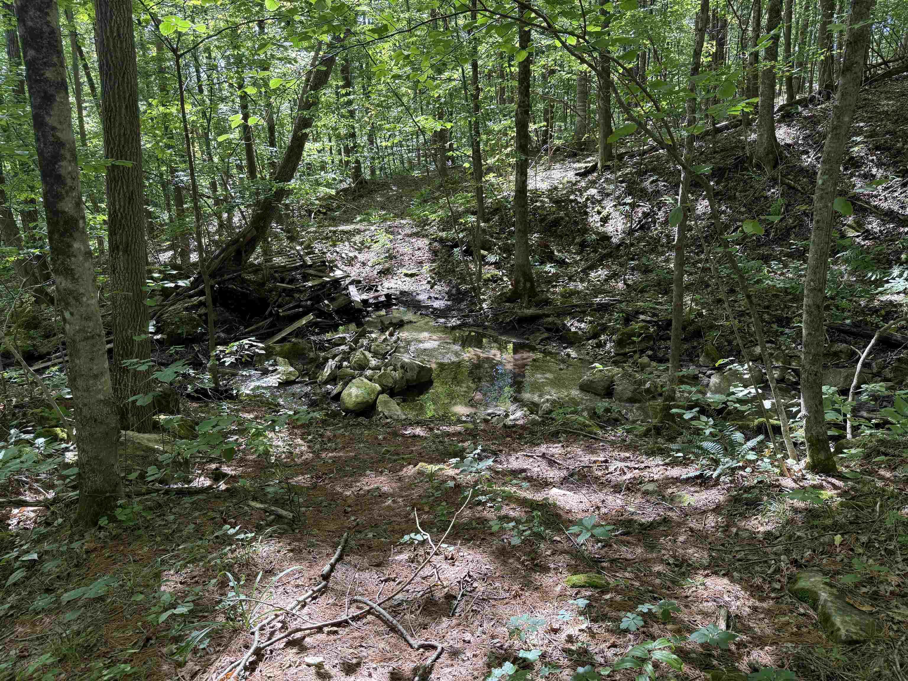 215-221 Highway 30 Dorset, VT 05251 - Photo 12 of 51