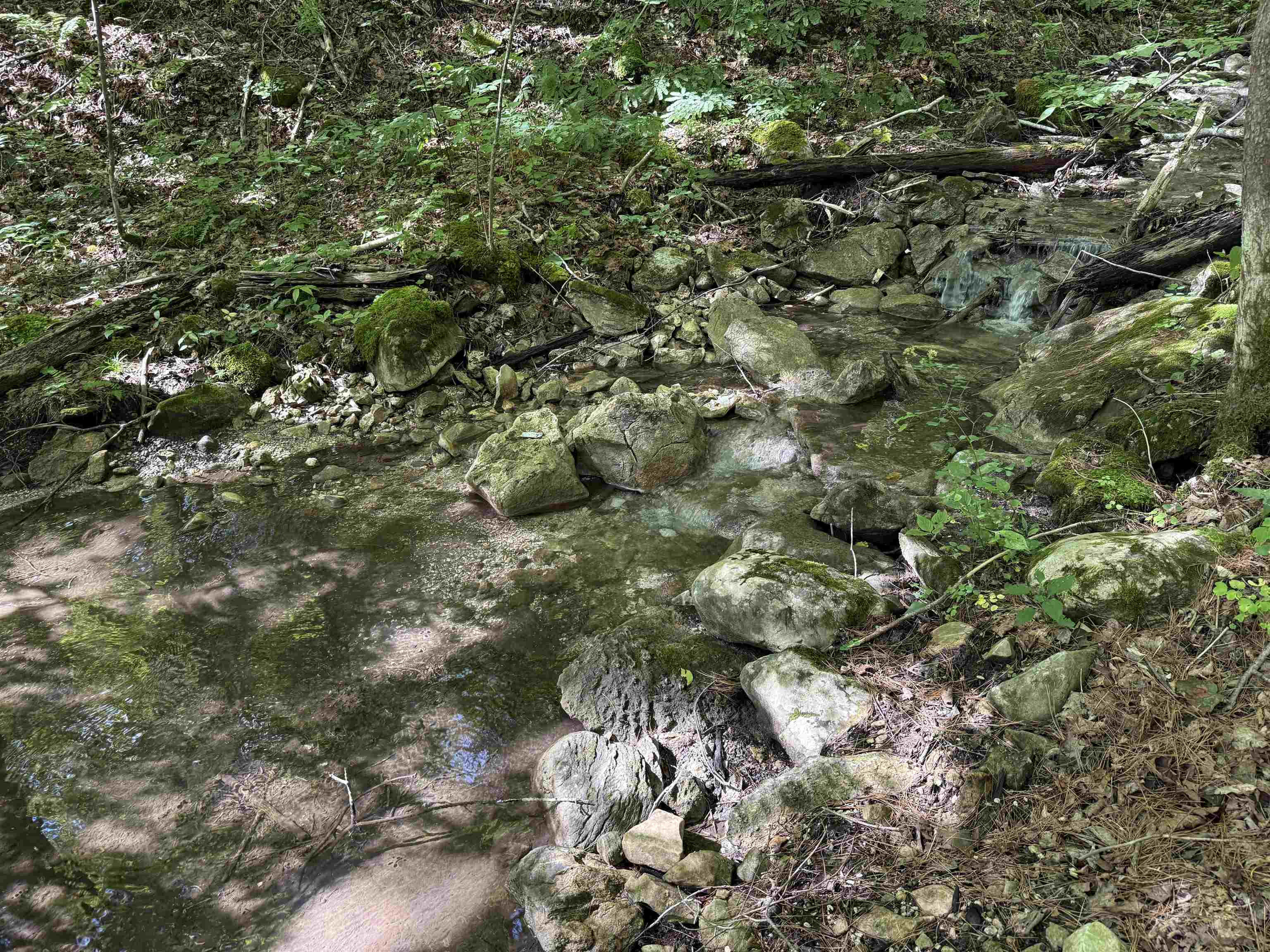 215-221 Highway 30 Dorset, VT 05251 - Photo 13 of 51