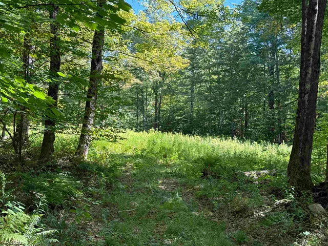 $2,300,000 | 215-221 Highway 30, Dorset, VT 05251