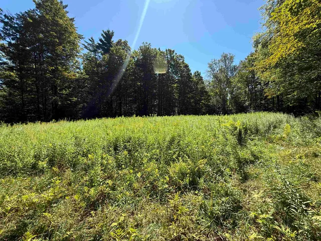 $2,300,000 | 215-221 Highway 30, Dorset, VT 05251