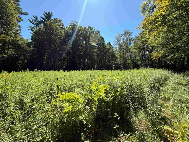 $2,300,000 | 215-221 Highway 30, Dorset, VT 05251