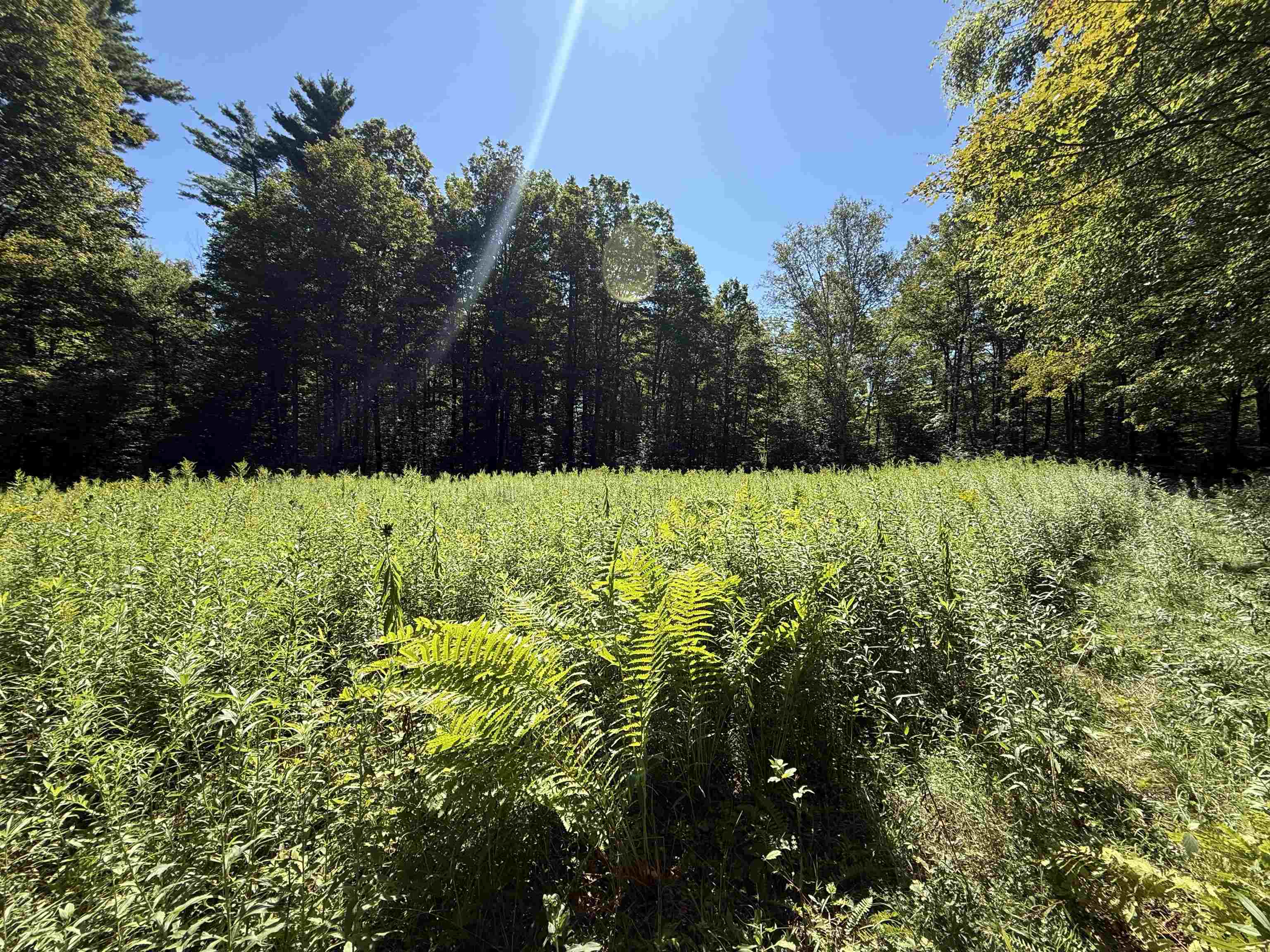 215-221 Highway 30 Dorset, VT 05251 - Photo 24 of 51