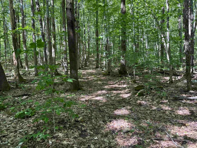 $2,300,000 | 215-221 Highway 30, Dorset, VT 05251