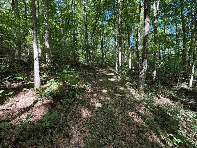 $2,300,000 | 215-221 Highway 30, Dorset, VT 05251