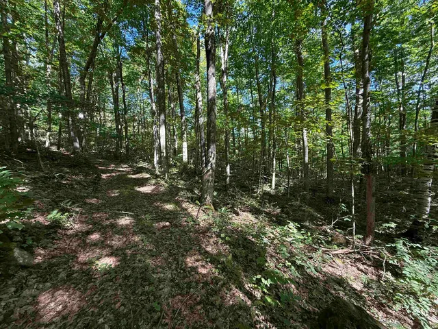 $2,300,000 | 215-221 Highway 30, Dorset, VT 05251