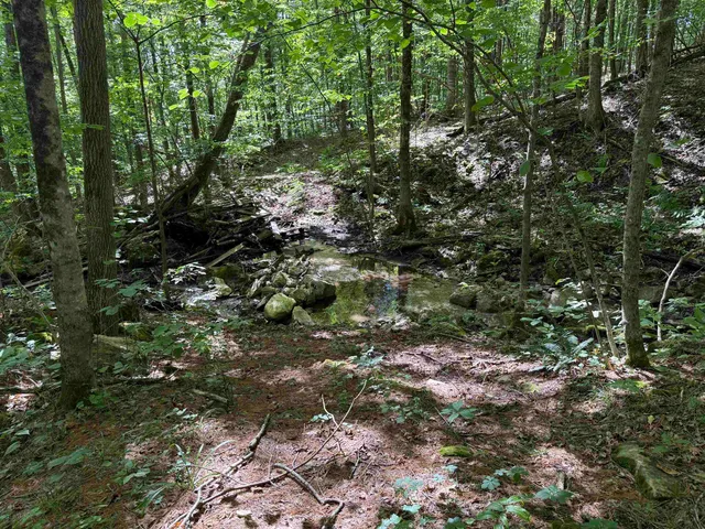 $1,750,000 | 215-221 Highway 30, Dorset, VT 05251