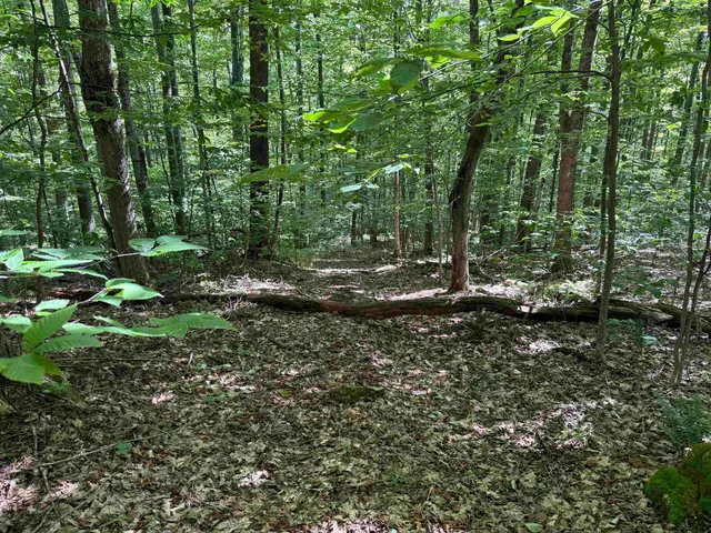 $2,300,000 | 215-221 Highway 30, Dorset, VT 05251