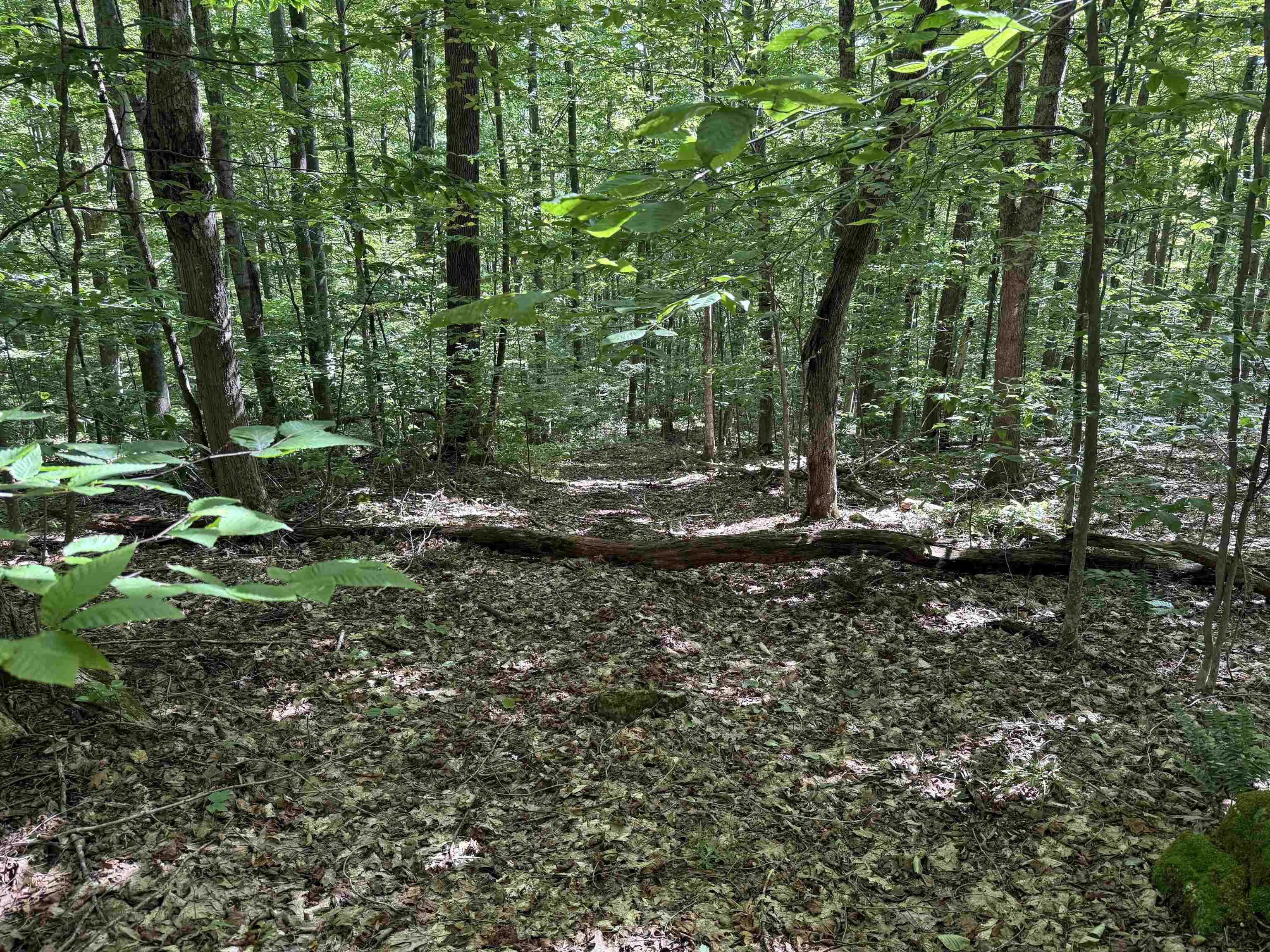 215-221 Highway 30 Dorset, VT 05251 - Photo 30 of 51