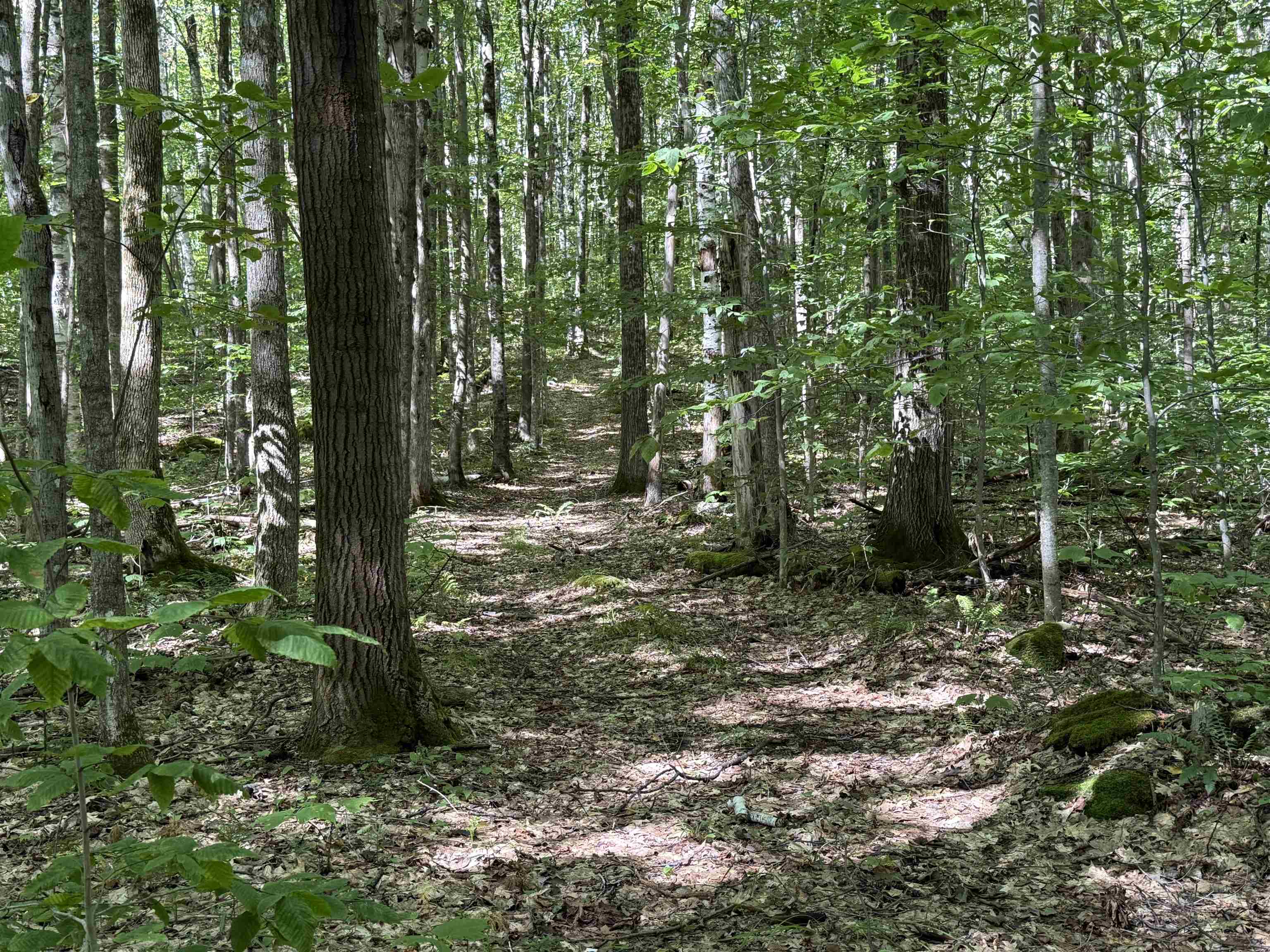 215-221 Highway 30 Dorset, VT 05251 - Photo 32 of 51