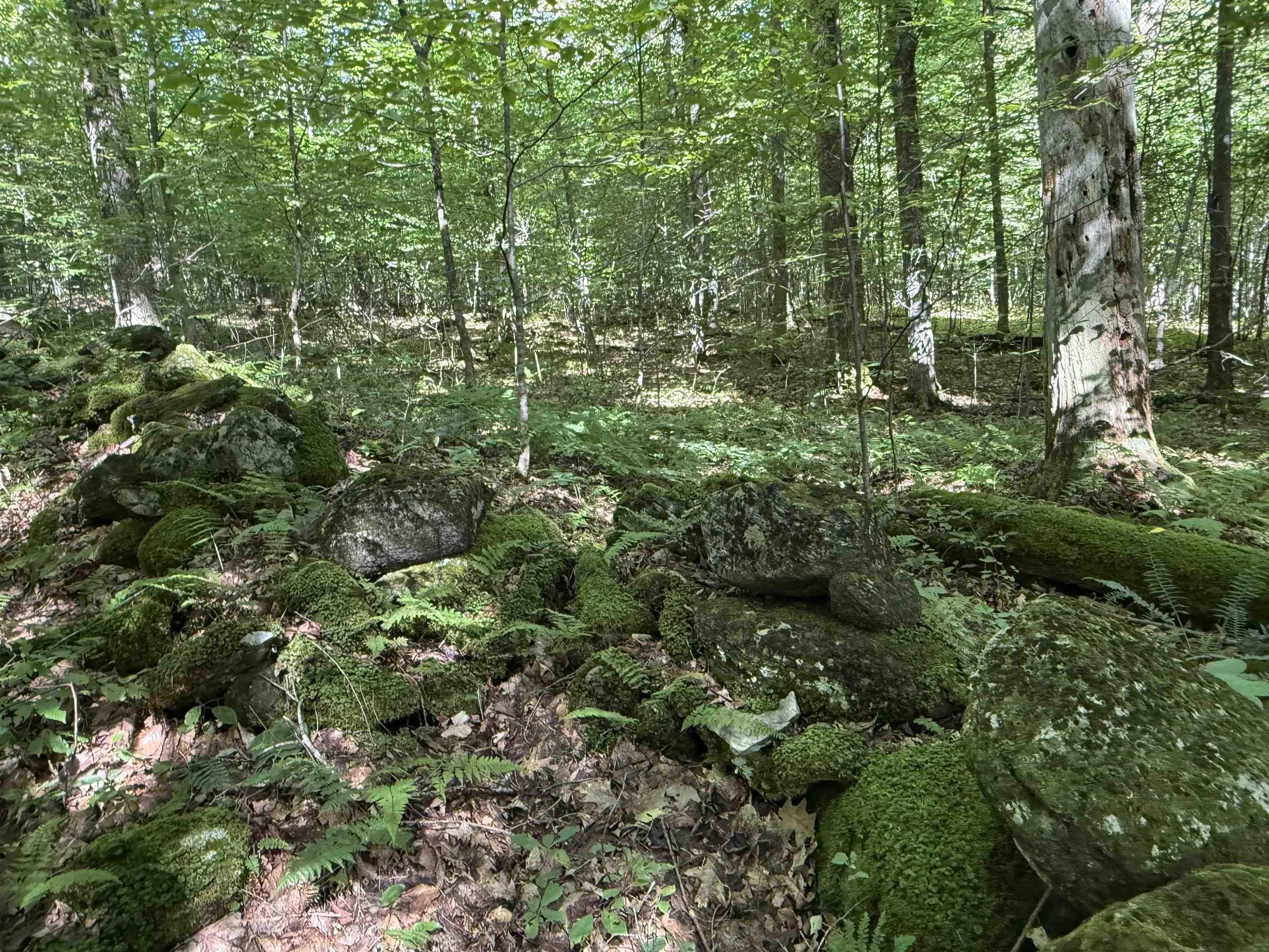 215-221 Highway 30 Dorset, VT 05251 - Photo 36 of 51