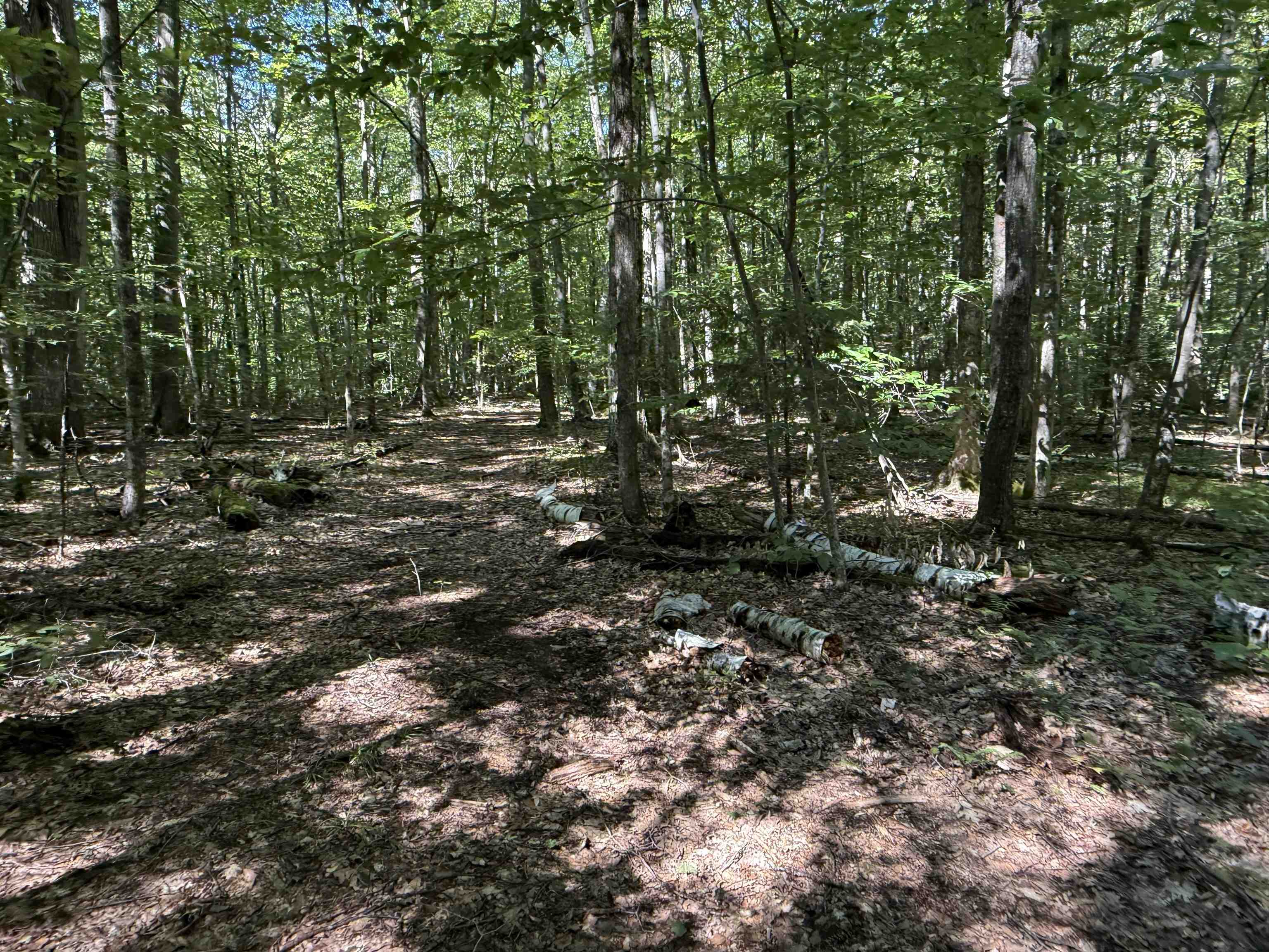 215-221 Highway 30 Dorset, VT 05251 - Photo 37 of 51