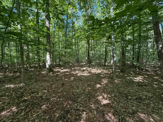 $1,750,000 | 215-221 Highway 30, Dorset, VT 05251