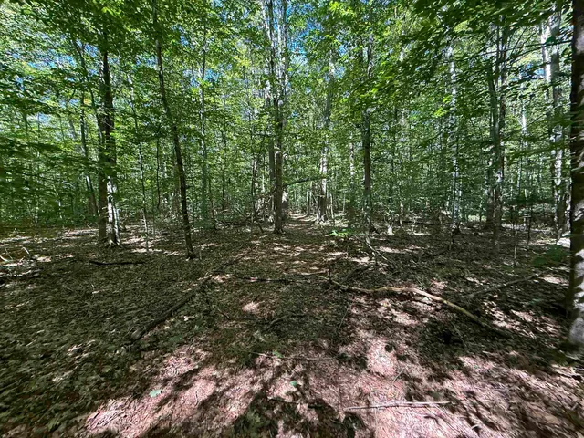 $2,300,000 | 215-221 Highway 30, Dorset, VT 05251