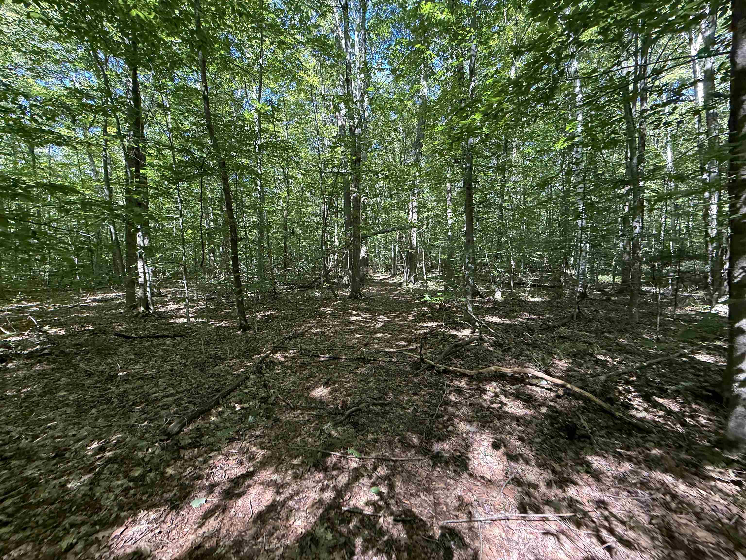 215-221 Highway 30 Dorset, VT 05251 - Photo 39 of 51