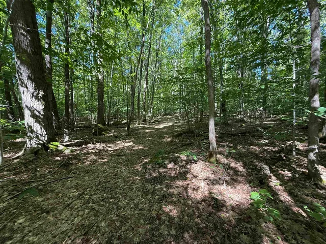 $2,300,000 | 215-221 Highway 30, Dorset, VT 05251