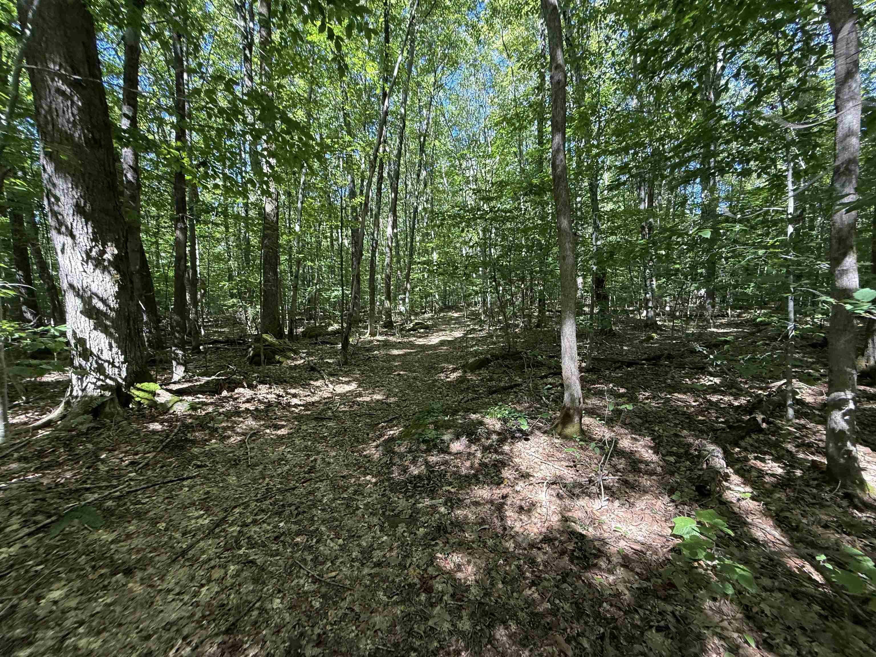 215-221 Highway 30 Dorset, VT 05251 - Photo 40 of 51